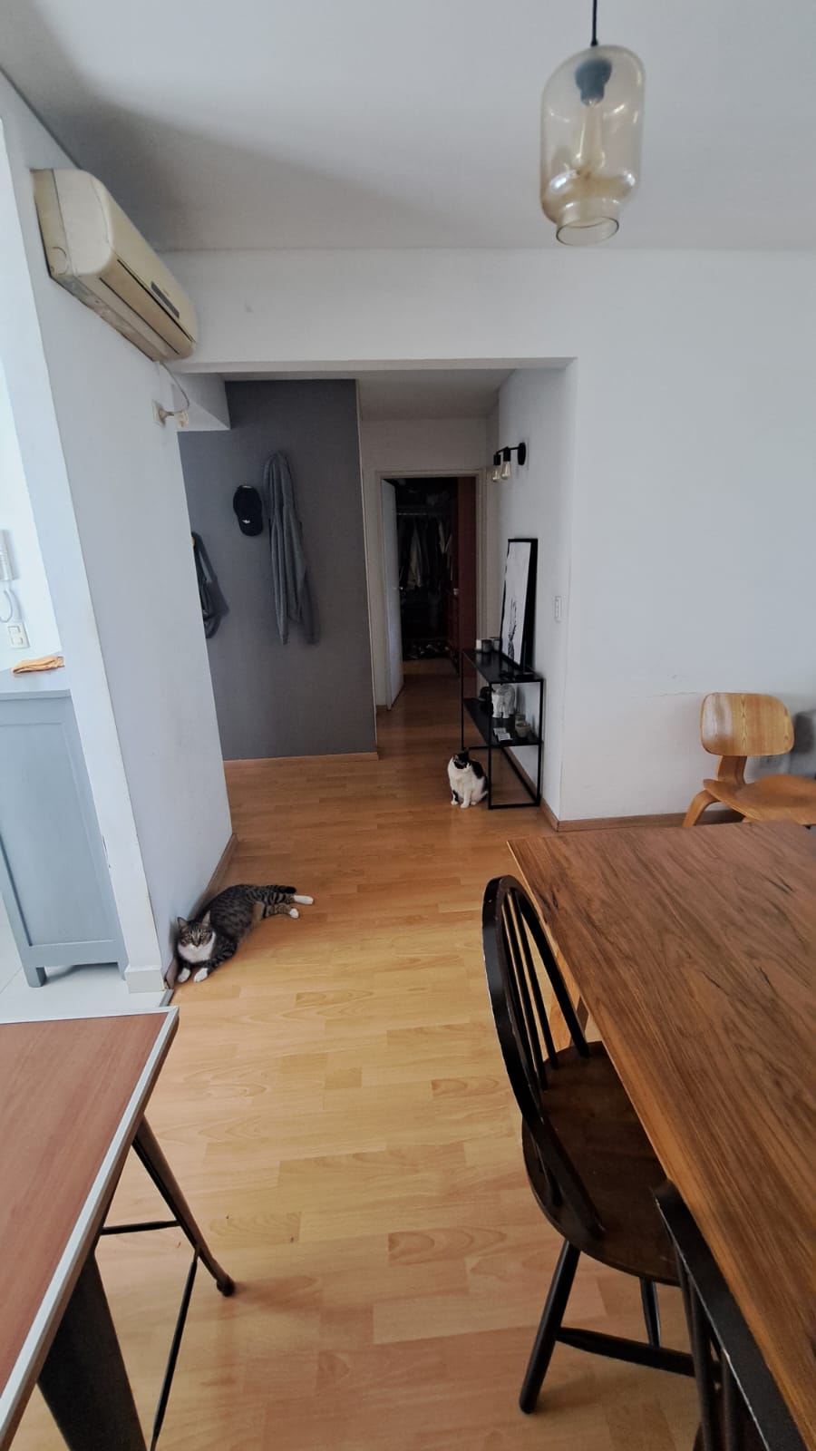 Av. Federico Lacroze N°3140,  3 ambientes Luminoso con balcón terraza y parrilla.