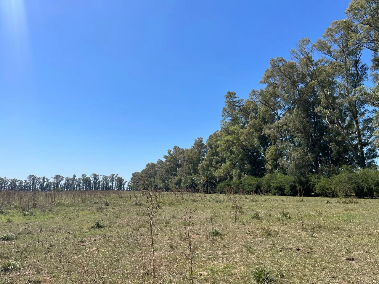 Altos de Plomer - EXCELENTE OPORTUNIDAD Lotes en venta –