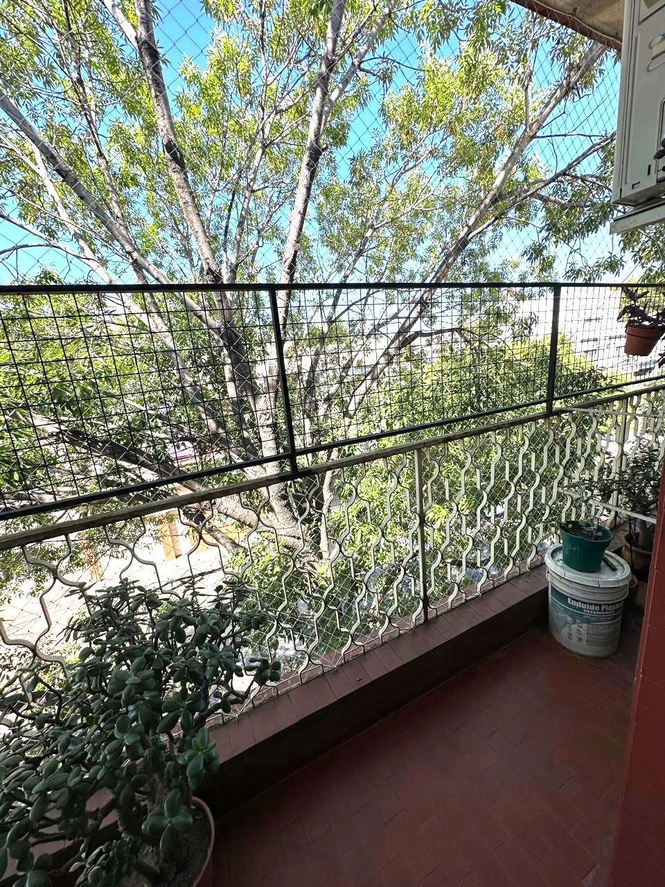 Imagen 5 de AMPLIO PH 3 AMB CON QUINCHO Y TERRAZA PROPIA.